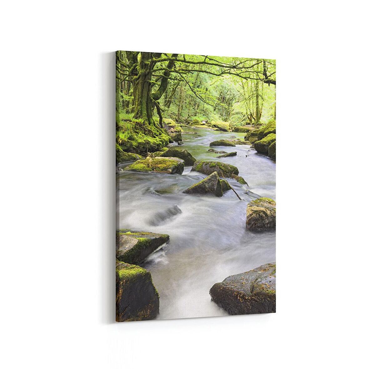 Olla 13469D Doğa / Manzara Görseli Dikey Kanvas Tablo (Ölçü: 60X90)