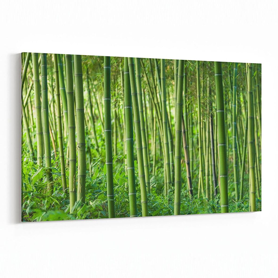 Olla 13552Y Doğa / Manzara Görseli Yatay Kanvas Tablo (Ölçü: 150X100)