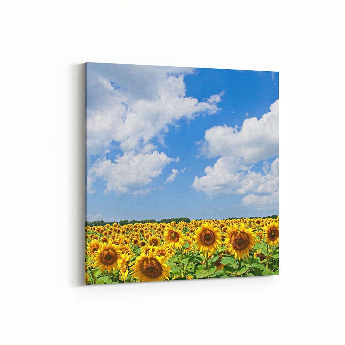 Olla 13715K Doğa / Manzara Görseli Kare Kanvas Tablo (Ölçü: 25X25)