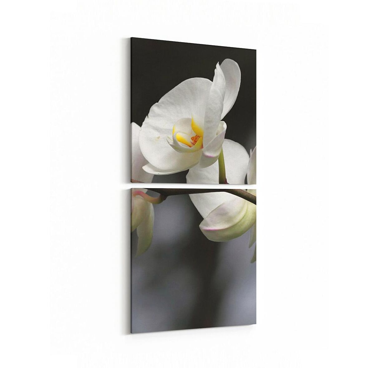 Olla 11753K2D Orkide Çiçek Görseli Kare 2'li Dikey Kanvas Tablo (Ölçü: 30X65)