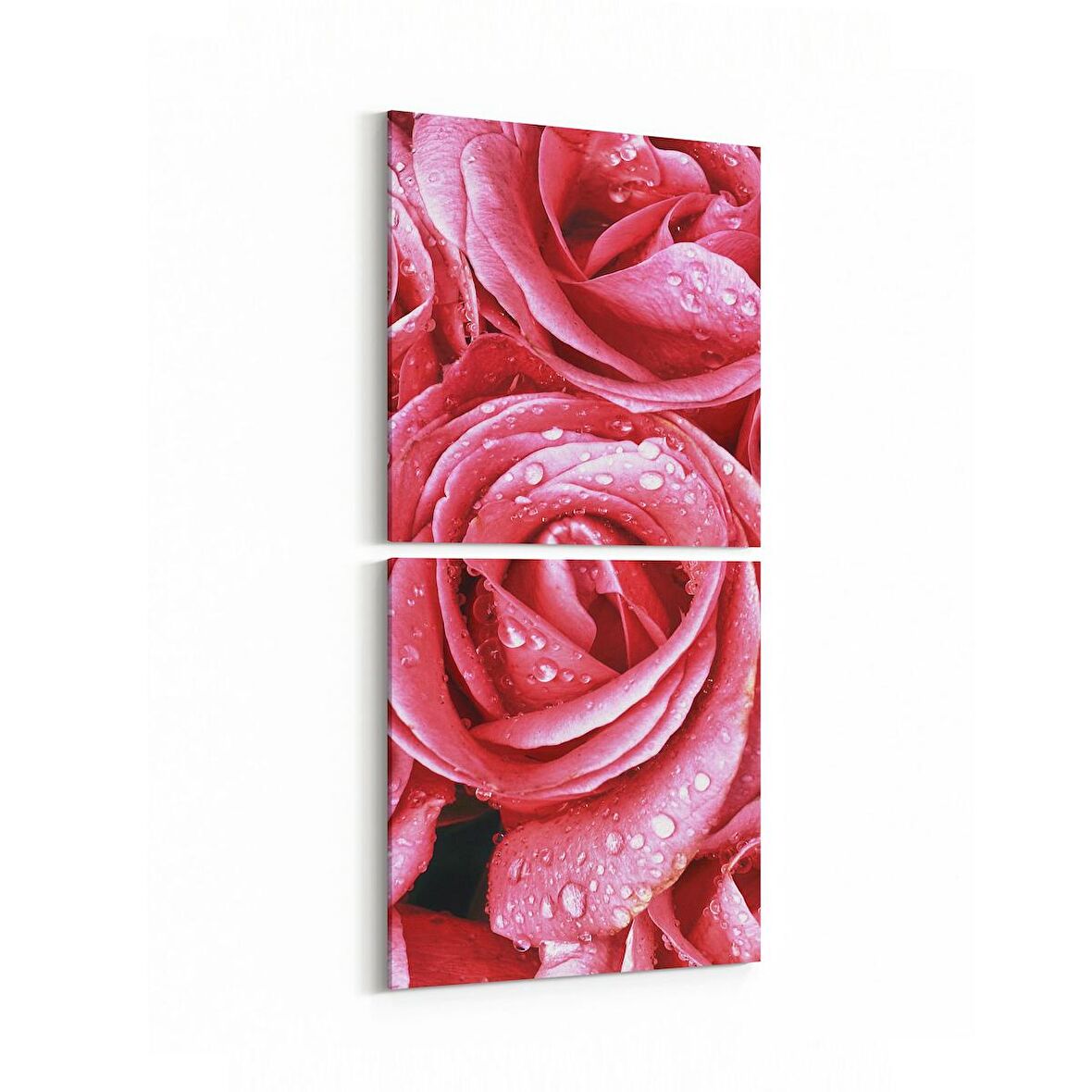 Olla 11640K2D Çiçek Görseli Kare 2'li Dikey Kanvas Tablo (Ölçü: 30X65)