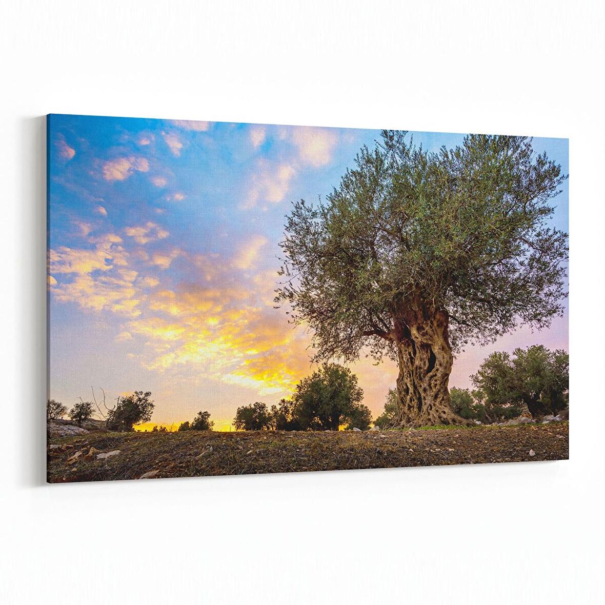 Olla 14373Y Doğa / Manzara Görseli Yatay Kanvas Tablo (Ölçü: 150X100)