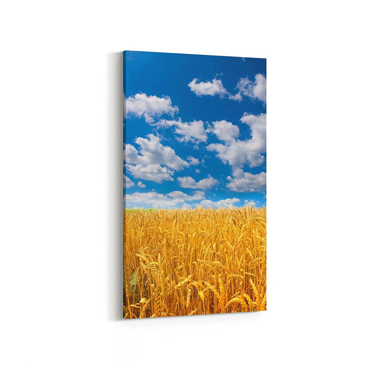 Olla 14105DD Doğa / Manzara Görseli Dikey Dar Kanvas Tablo (Ölçü: 30X60)