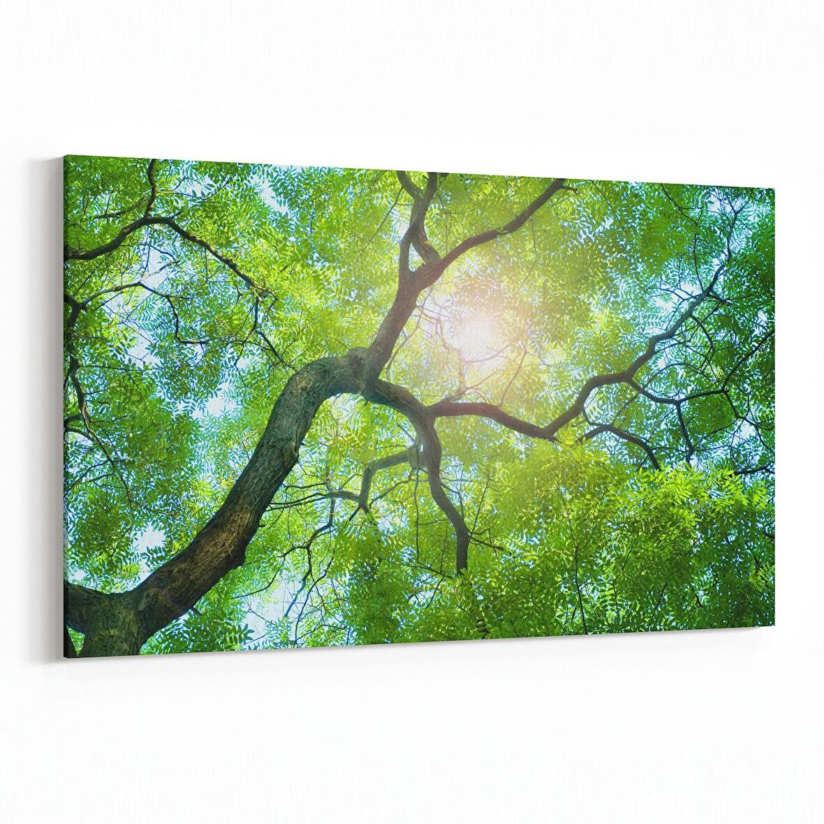 Olla 11055Y Ağaç Görseli Yatay Kanvas Tablo (Ölçü: 45X30)