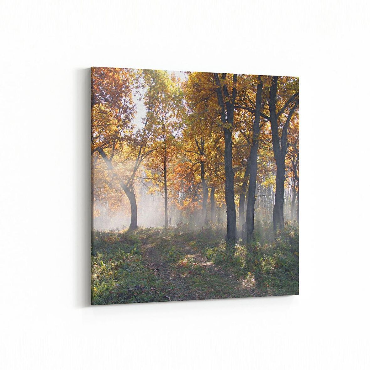 Olla 13419K Doğa / Manzara Görseli Kare Kanvas Tablo (Ölçü: 25X25)