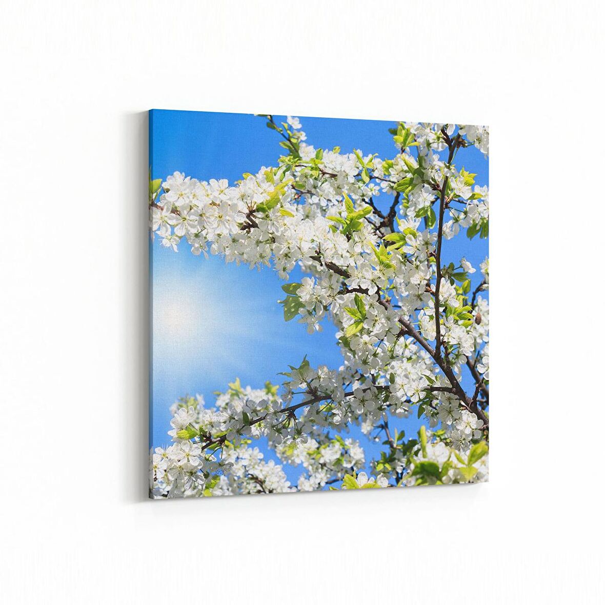 Olla 10486K Ağaç Görseli Kare Kanvas Tablo (Ölçü: 25X25)