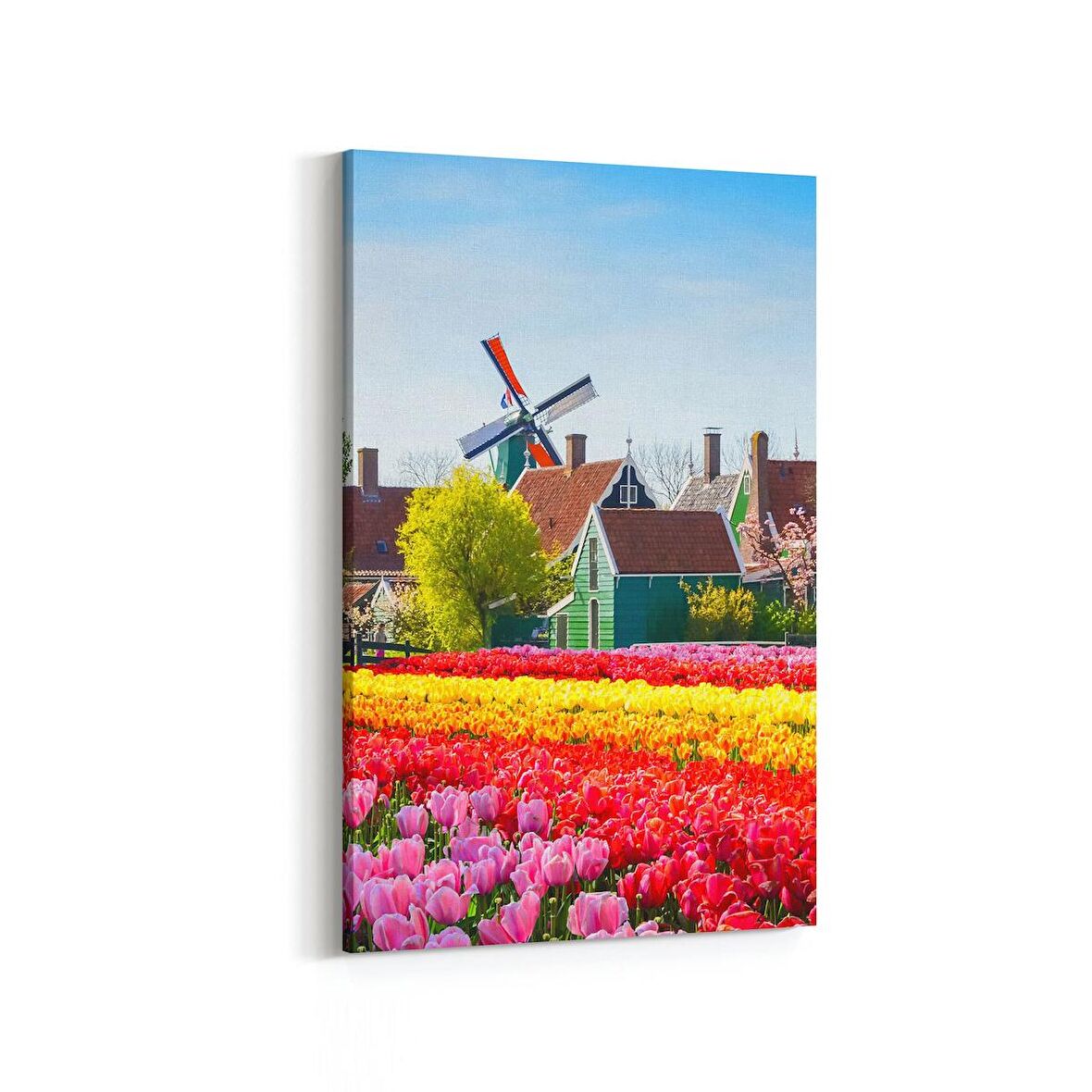 Olla 18644D Yapı Görseli Dikey Kanvas Tablo (Ölçü: 20X30)