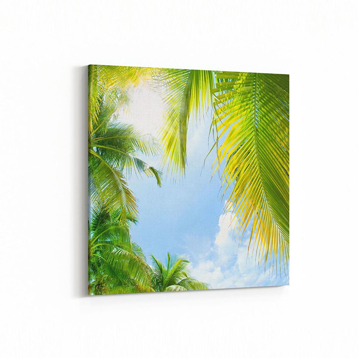 Olla 11486K Palmiye Ağacı Görseli Kare Kanvas Tablo (Ölçü: 30X30)