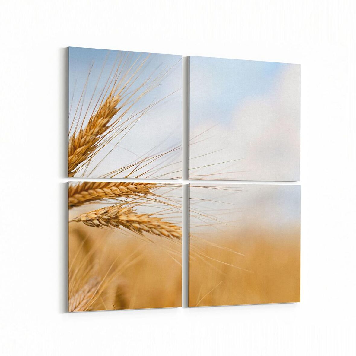 Olla 15241K4 Gıda Görseli Kare 4'lü Kanvas Tablo (Ölçü: 65X65)