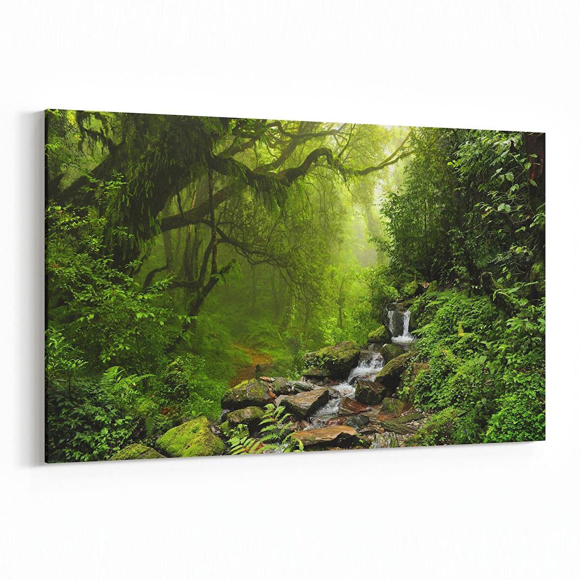 Olla 13737Y Doğa / Manzara Görseli Yatay Kanvas Tablo (Ölçü: 45X30)