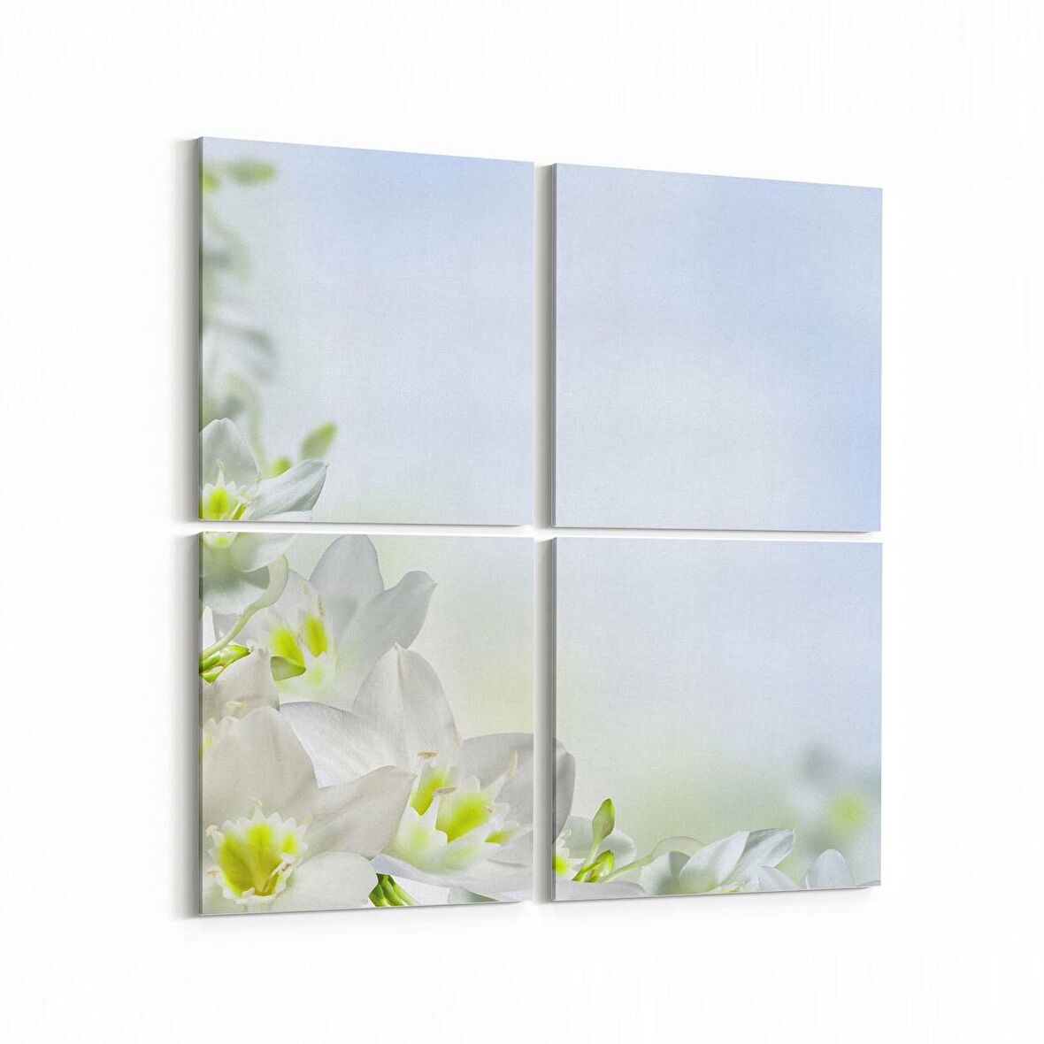 Olla 11697K4 Orkide Çiçek Görseli Kare 4'lü Kanvas Tablo (Ölçü: 125X125)