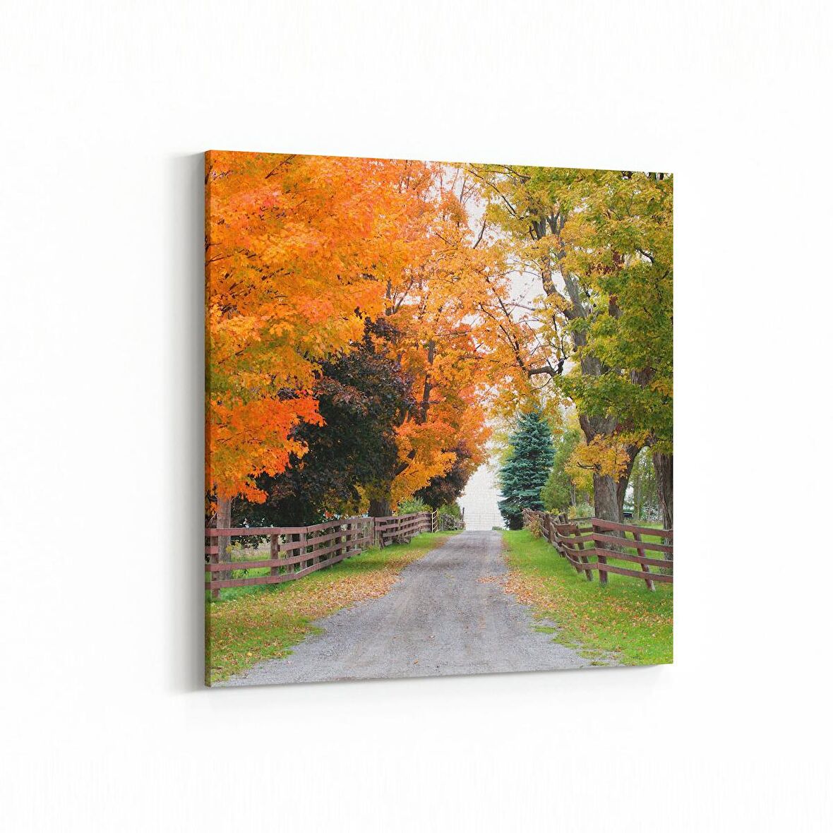 Olla 13293K Doğa / Manzara Görseli Kare Kanvas Tablo (Ölçü: 25X25)