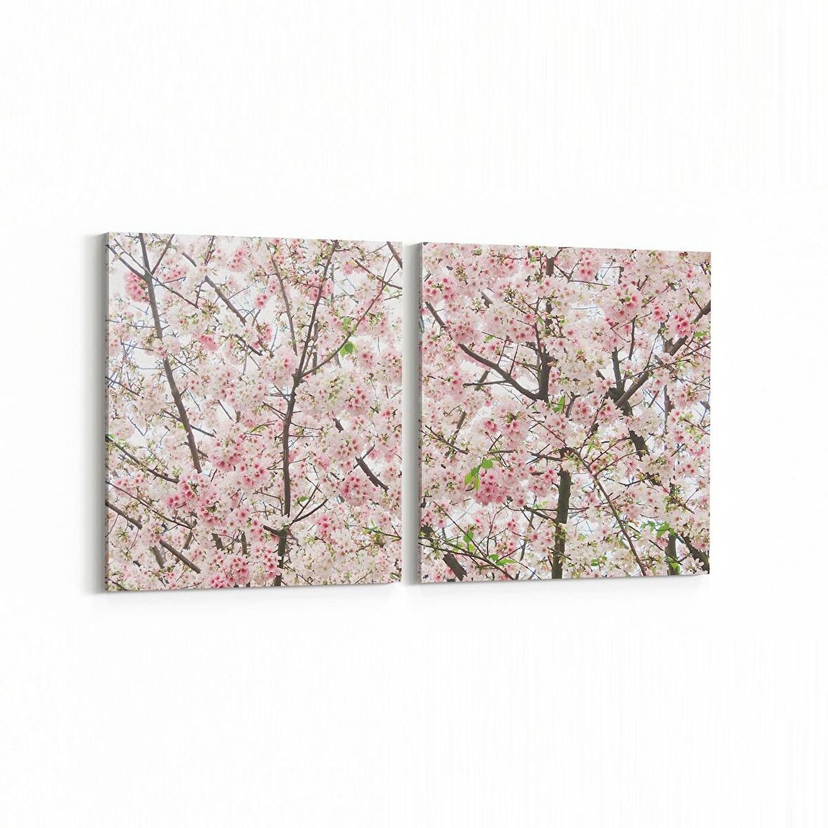 Olla 10994K2Y Ağaç Görseli Kare 2'li Yatay Kanvas Tablo (Ölçü: 125X60)