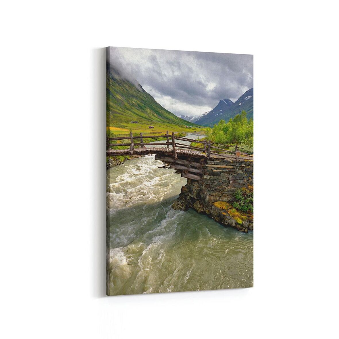 Olla 13519D Doğa / Manzara Görseli Dikey Kanvas Tablo (Ölçü: 40X60)