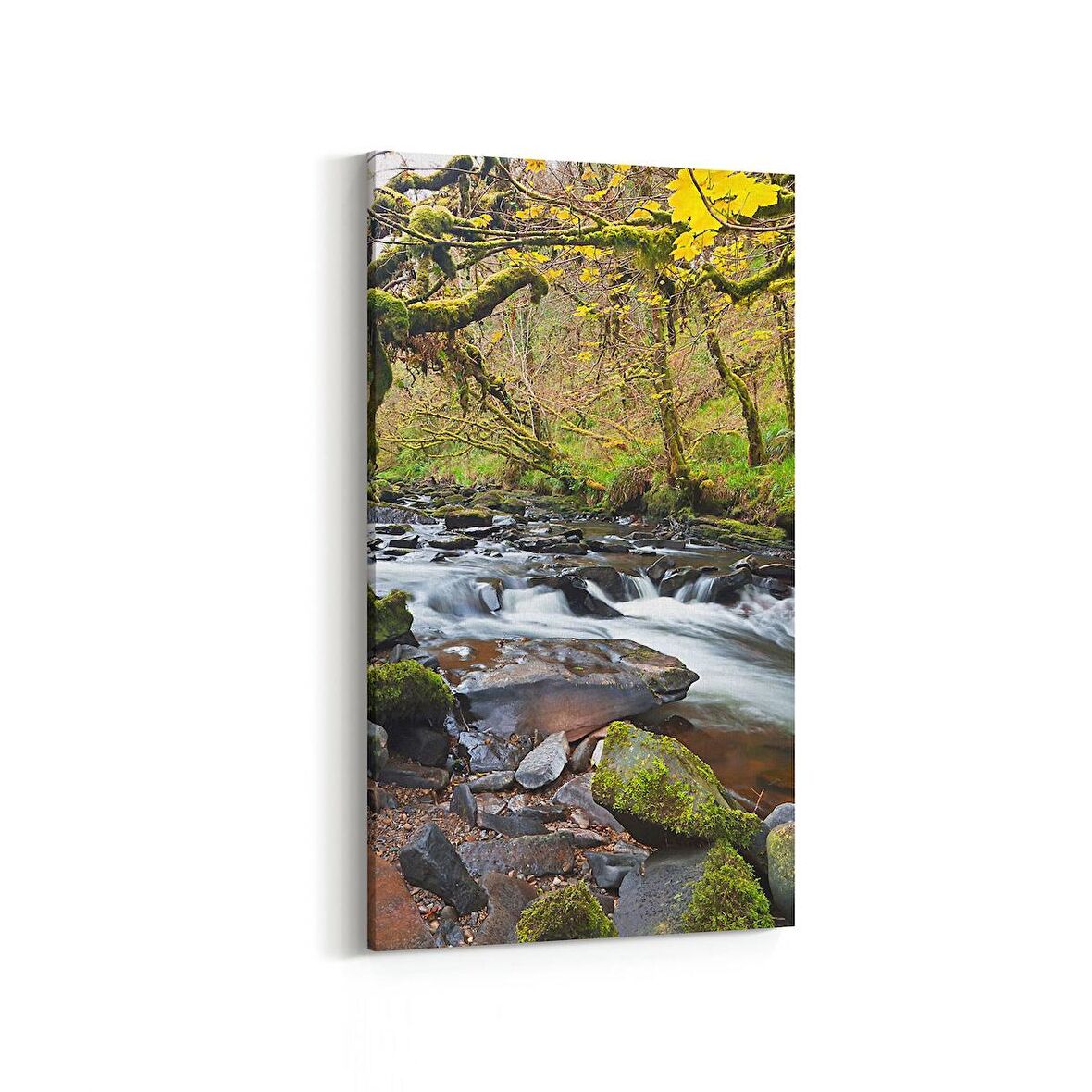 Olla 13170DD Doğa / Manzara Görseli Dikey Dar Kanvas Tablo (Ölçü: 40X80)