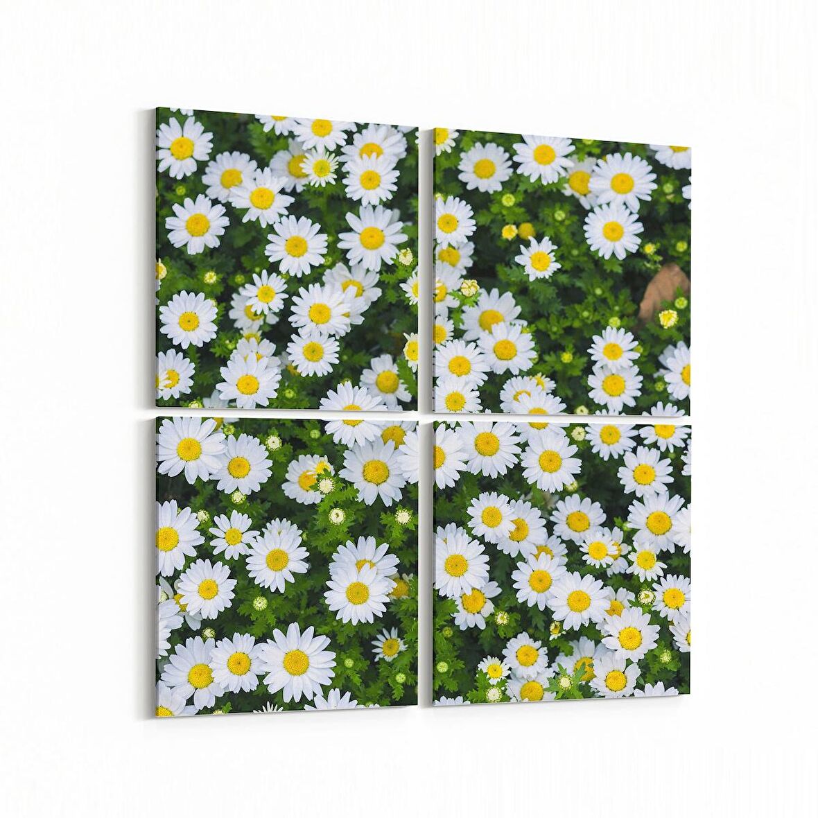 Olla 11568K4 Çiçek Görseli Kare 4'lü Kanvas Tablo (Ölçü: 65X65)