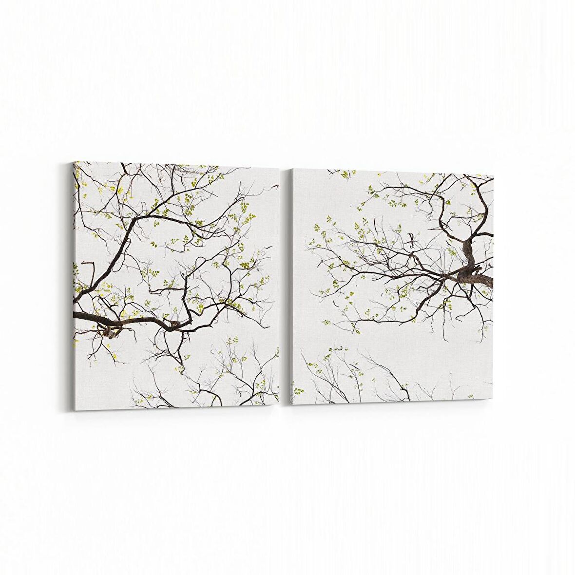 Olla 10887K2Y Ağaç Görseli Kare 2'li Yatay Kanvas Tablo (Ölçü: 65X30)