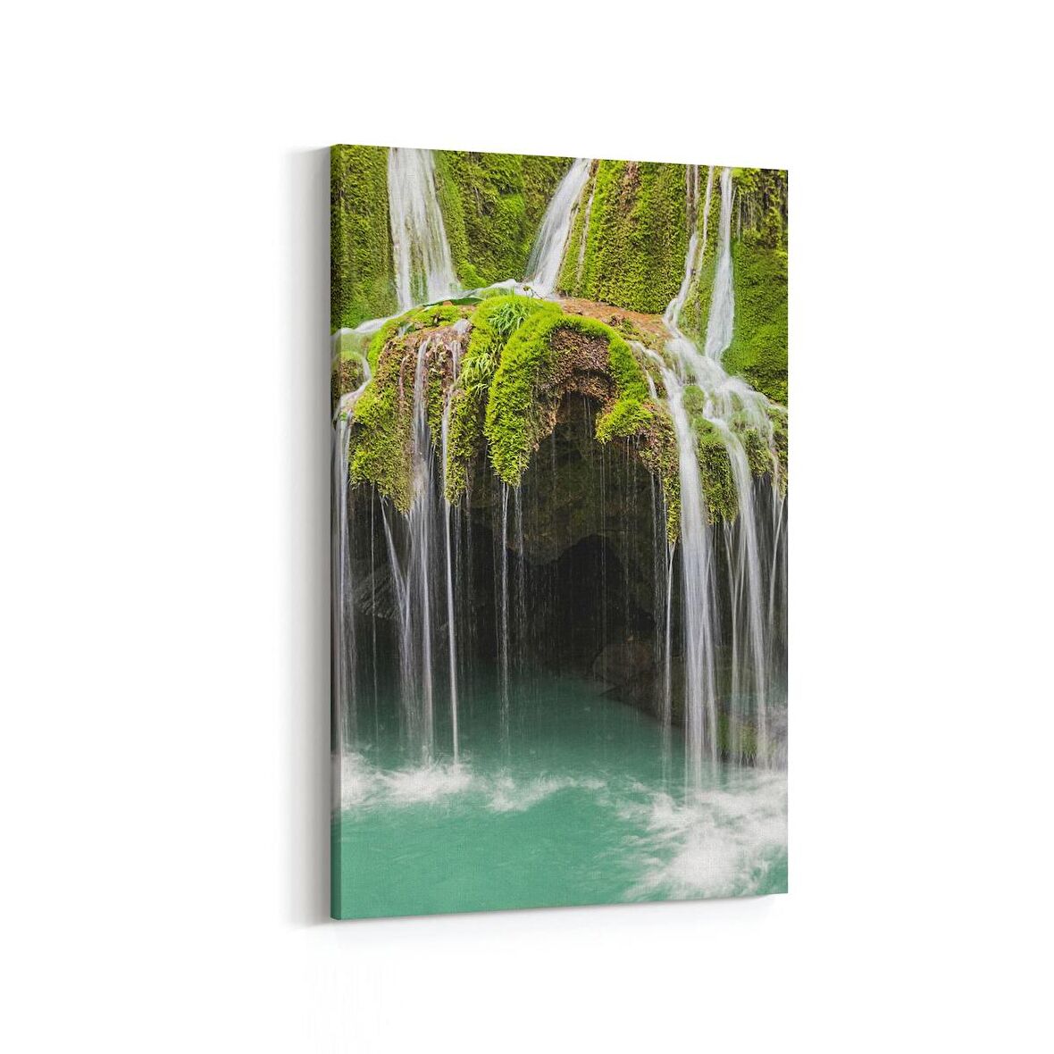 Olla 14328D Doğa / Manzara Görseli Dikey Kanvas Tablo (Ölçü: 20X30)