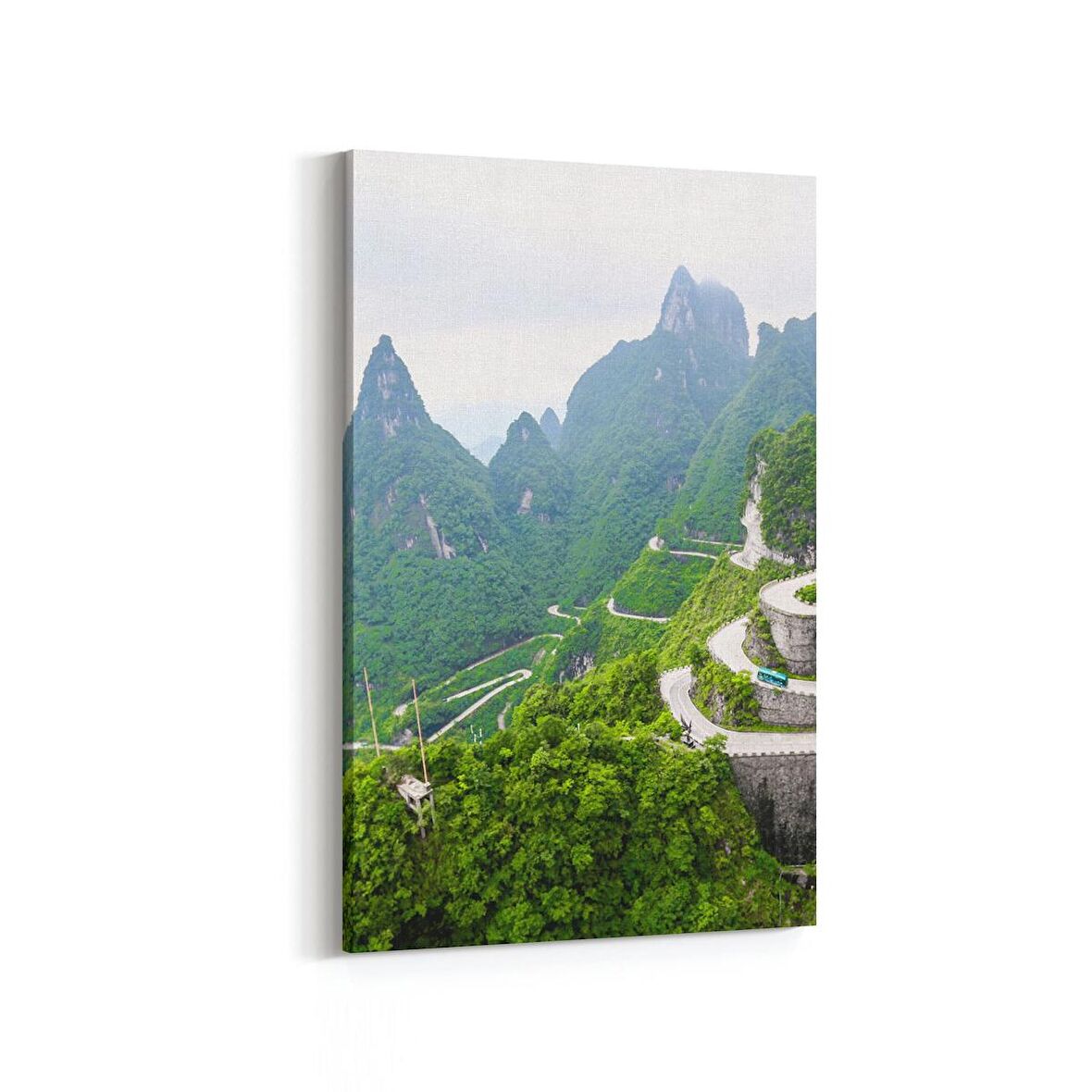 Olla 13278D Doğa / Manzara Görseli Dikey Kanvas Tablo (Ölçü: 60X90)