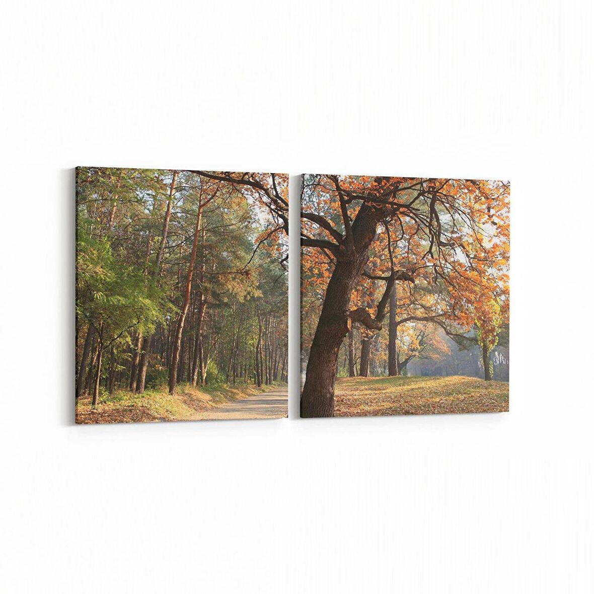 Olla 13309K2Y Doğa / Manzara Görseli Kare 2'li Yatay Kanvas Tablo (Ölçü: 145X70)