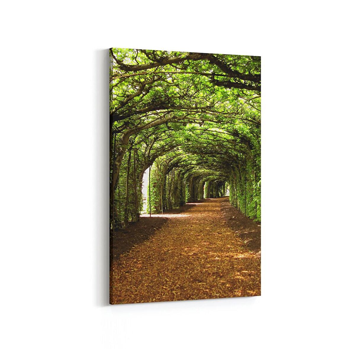 Olla 14625D Doğa / Manzara Görseli Dikey Kanvas Tablo (Ölçü: 100X150)