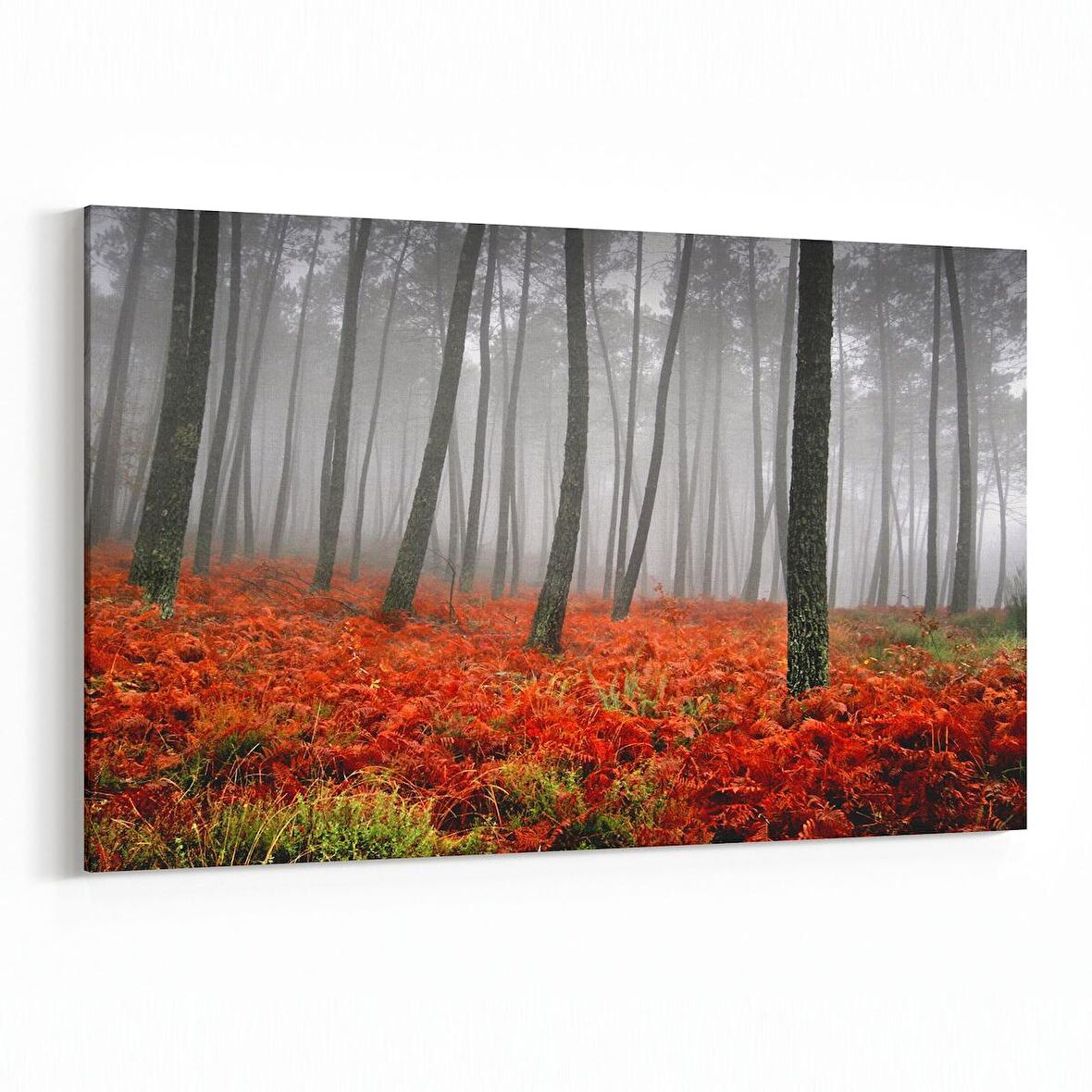 Olla 14280Y Doğa / Manzara Görseli Yatay Kanvas Tablo (Ölçü: 30X20)