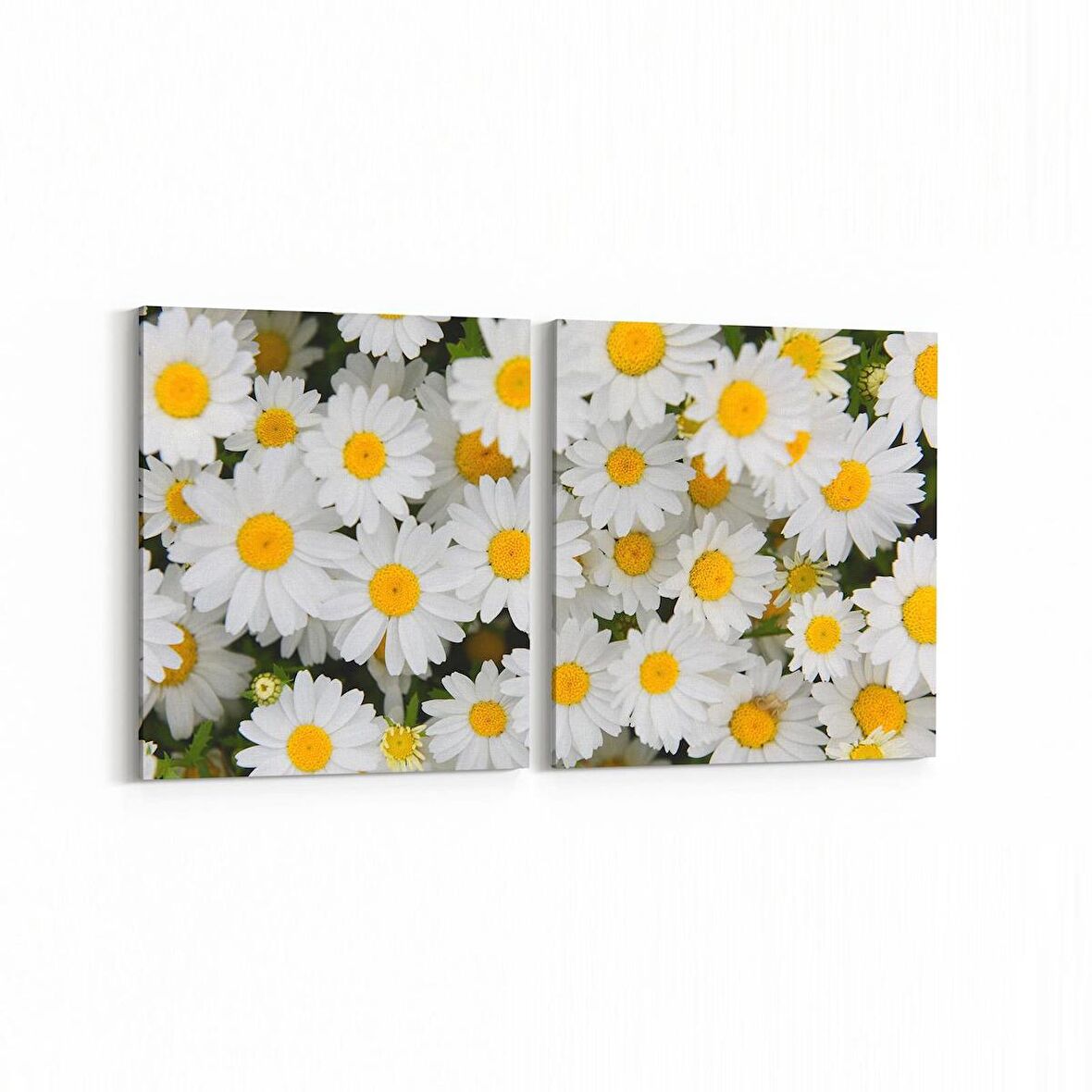 Olla 11630K2Y Çiçek Görseli Kare 2'li Yatay Kanvas Tablo (Ölçü: 125X60)