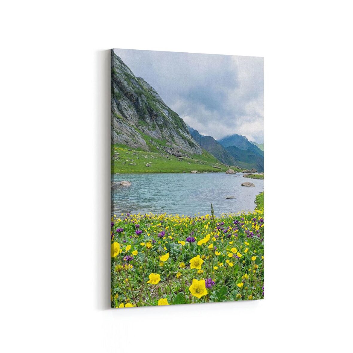 Olla 13284D Doğa / Manzara Görseli Dikey Kanvas Tablo (Ölçü: 20X30)