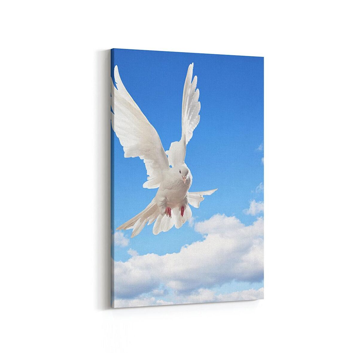 Olla 15876D Gökyüzü Kuşlar Görseli Dikey Kanvas Tablo (Ölçü: 100X150)