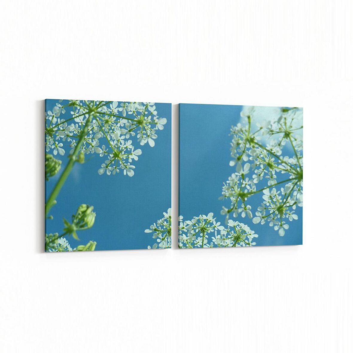 Olla 10696K2Y Ağaç Görseli Kare 2'li Yatay Kanvas Tablo (Ölçü: 105X50)