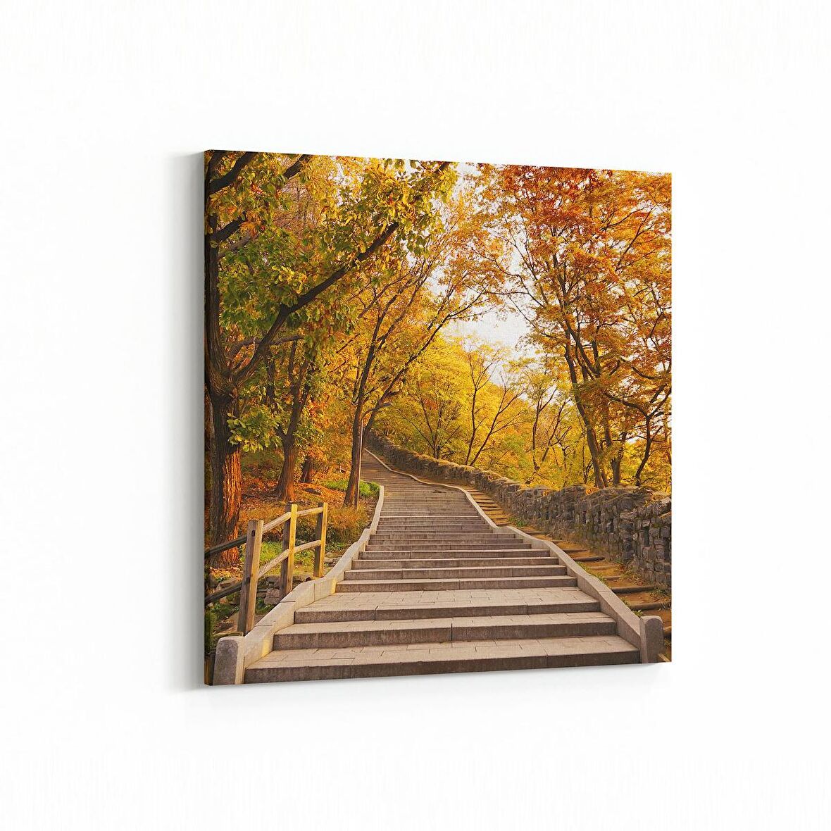 Olla 13618K Doğa / Manzara Görseli Kare Kanvas Tablo (Ölçü: 60X60)