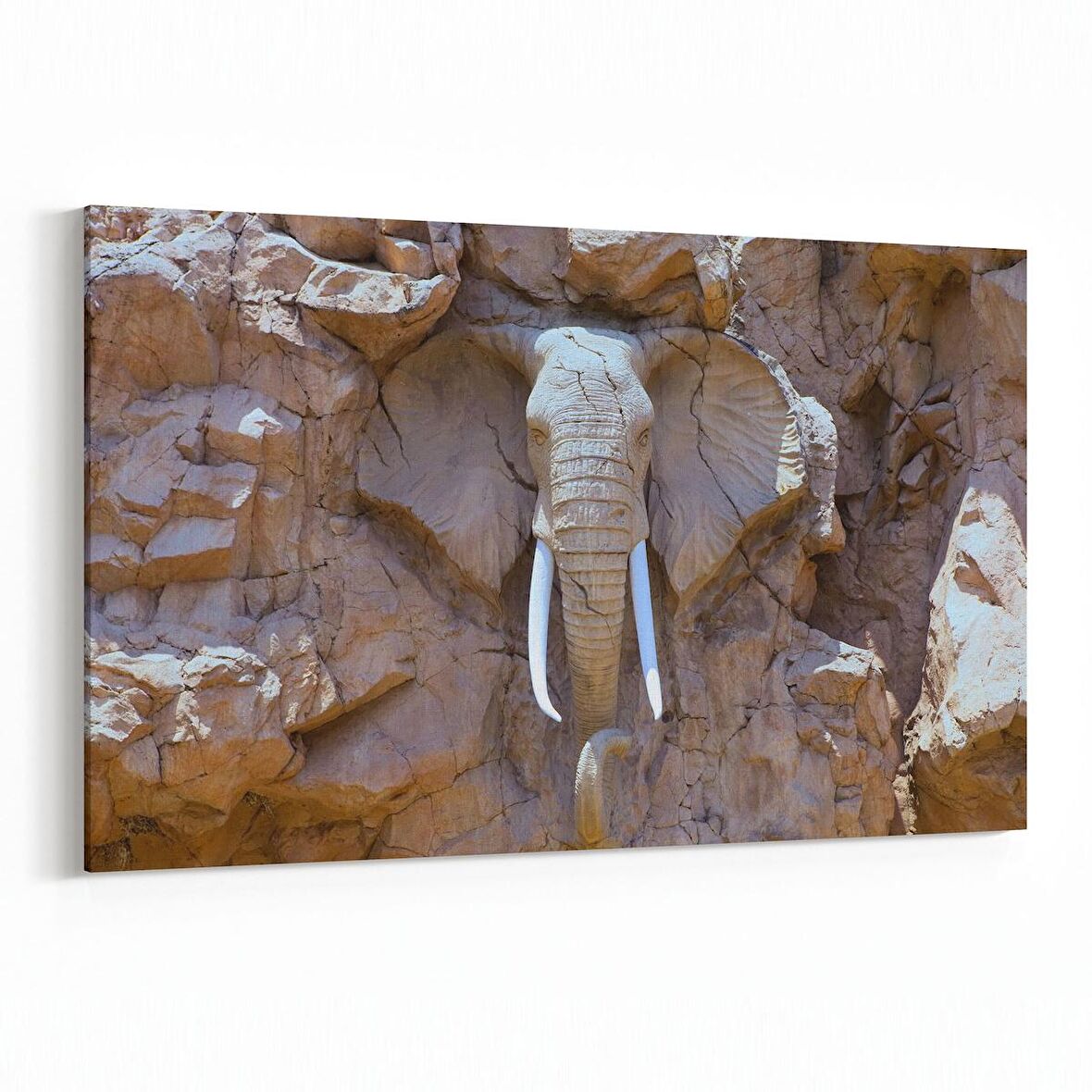 Olla 12562Y Hayvanlar Alemi Görseli Yatay Kanvas Tablo (Ölçü: 70X50)