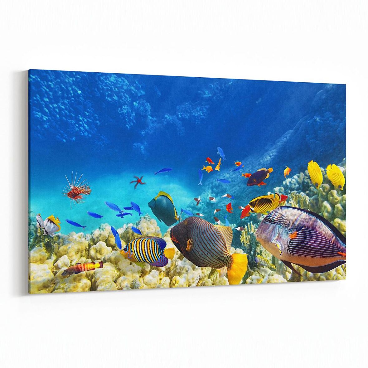 Olla 12128Y Akvaryum / Balık Görseli Yatay Kanvas Tablo (Ölçü: 150X100)