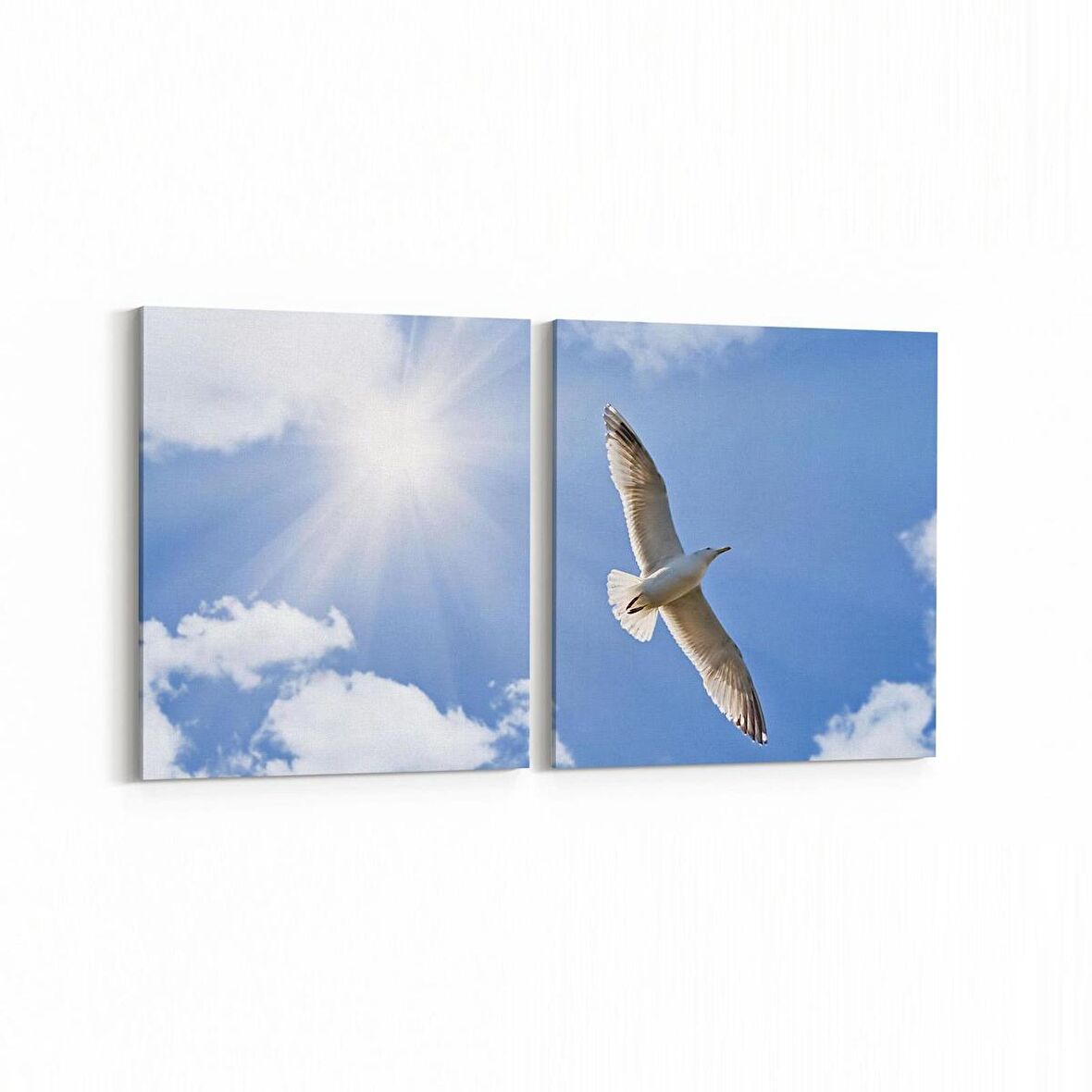 Olla 15885K2Y Gökyüzü Kuşlar Görseli Kare 2'li Yatay Kanvas Tablo (Ölçü: 125X60)