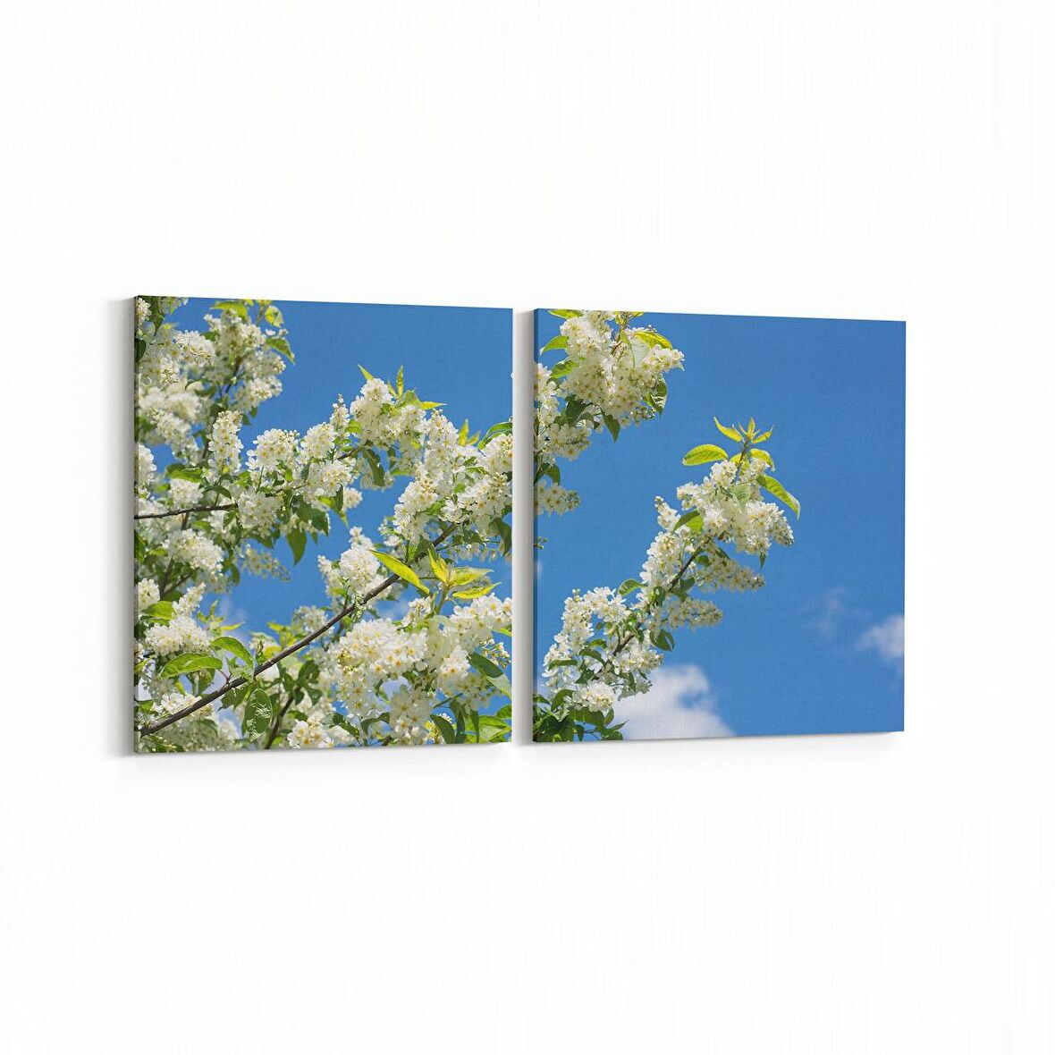 Olla 10912K2Y Ağaç Görseli Kare 2'li Yatay Kanvas Tablo (Ölçü: 65X30)