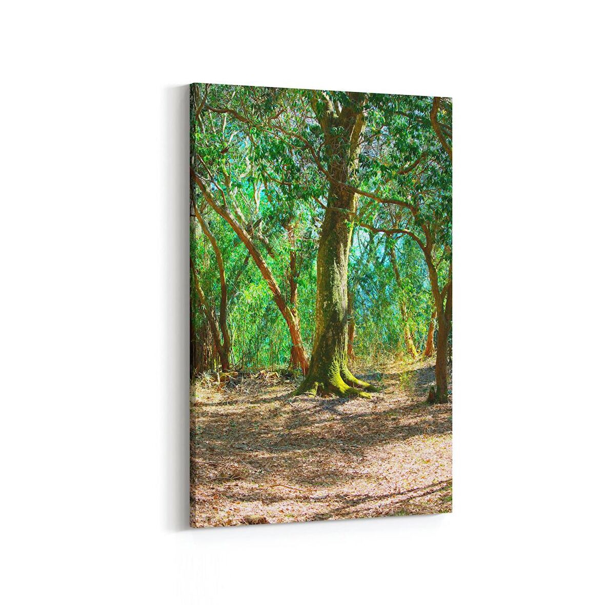 Olla 13679D Doğa / Manzara Görseli Dikey Kanvas Tablo (Ölçü: 70X105)