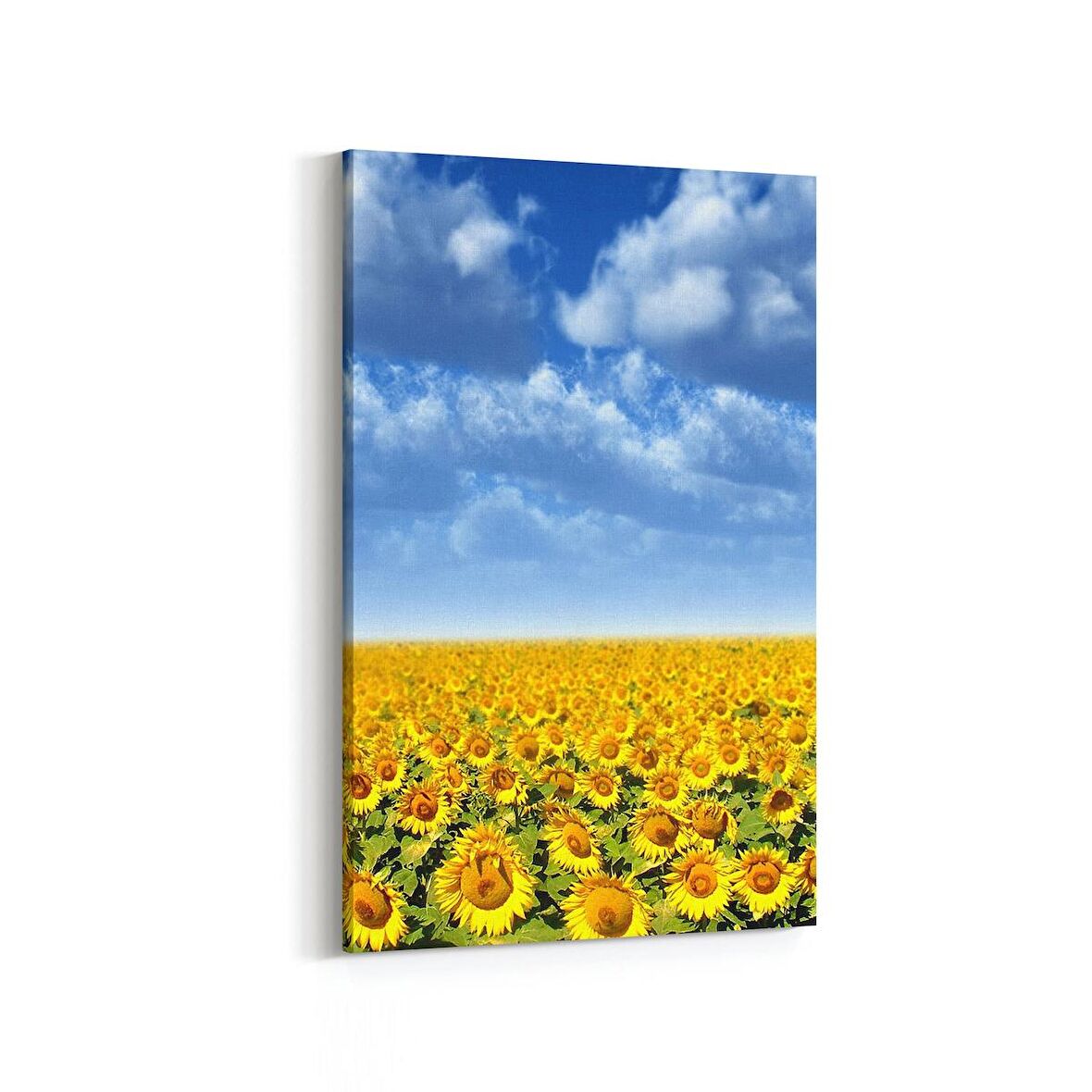 Olla 13933D Doğa / Manzara Görseli Dikey Kanvas Tablo (Ölçü: 100X150)