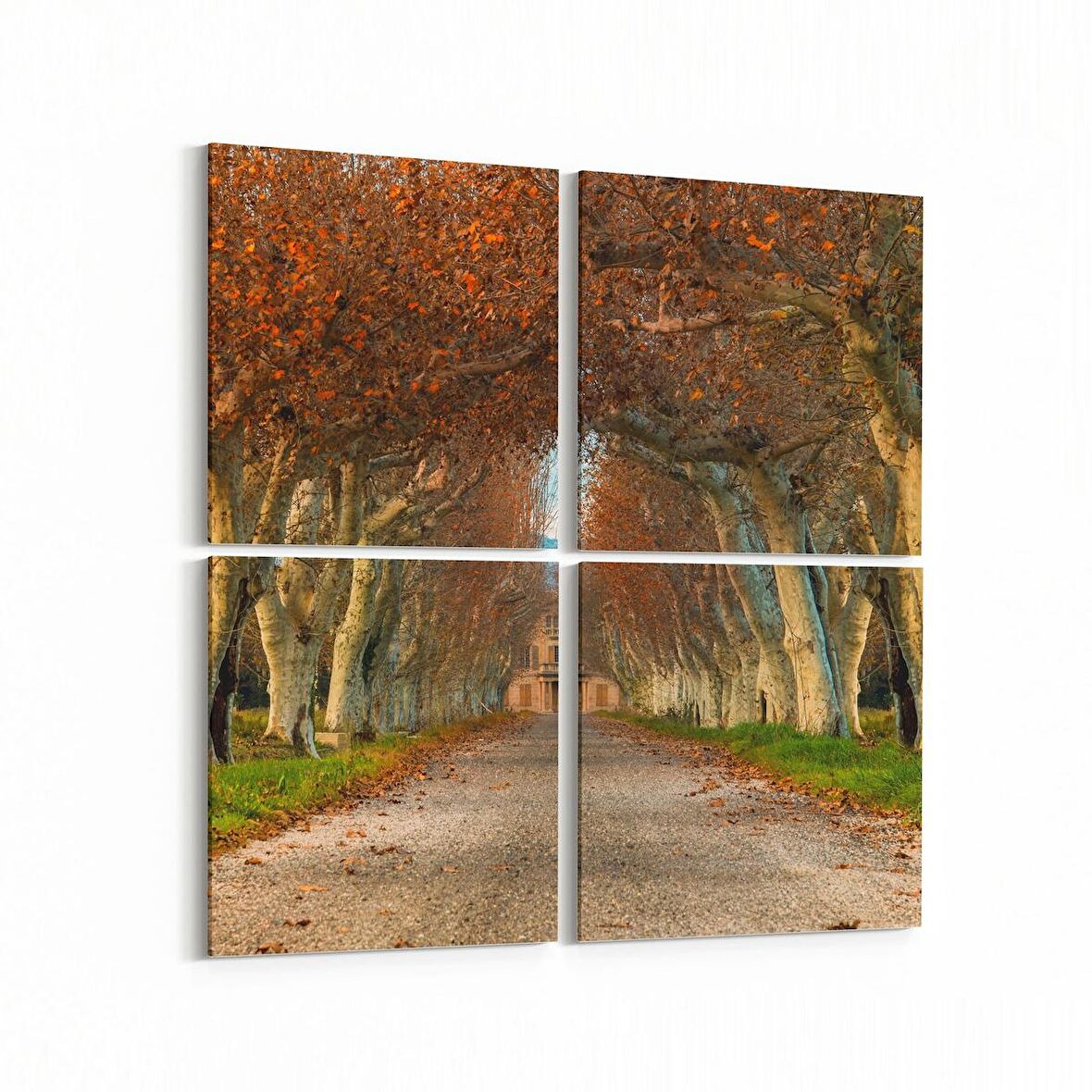 Olla 13353K4 Doğa / Manzara Görseli Kare 4'lü Kanvas Tablo (Ölçü: 125X125)