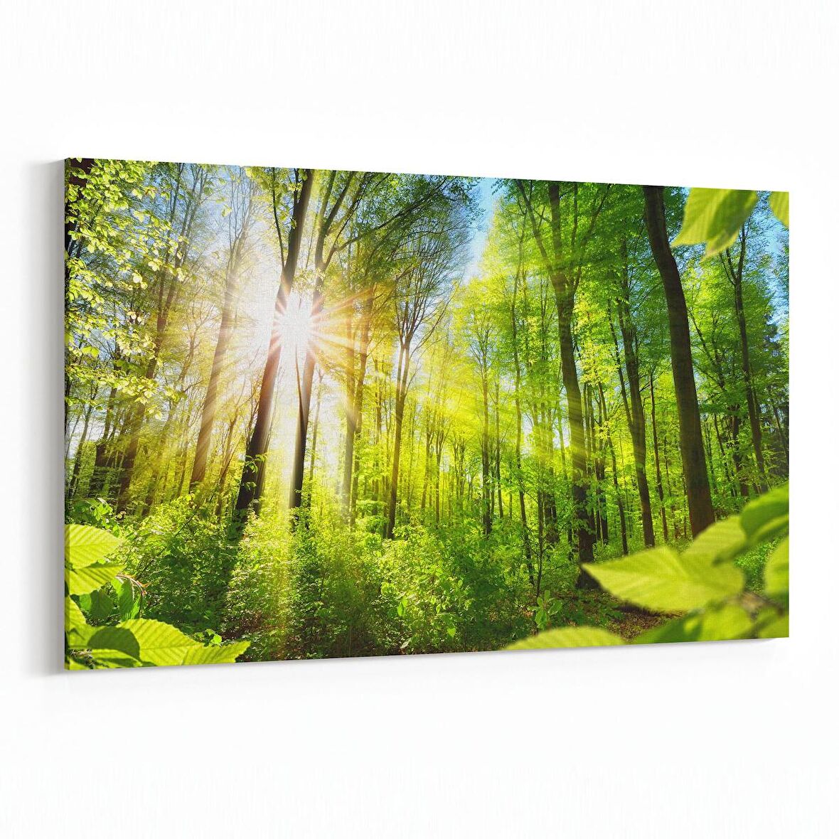 Olla 13987Y Doğa / Manzara Görseli Yatay Kanvas Tablo (Ölçü: 30X20)