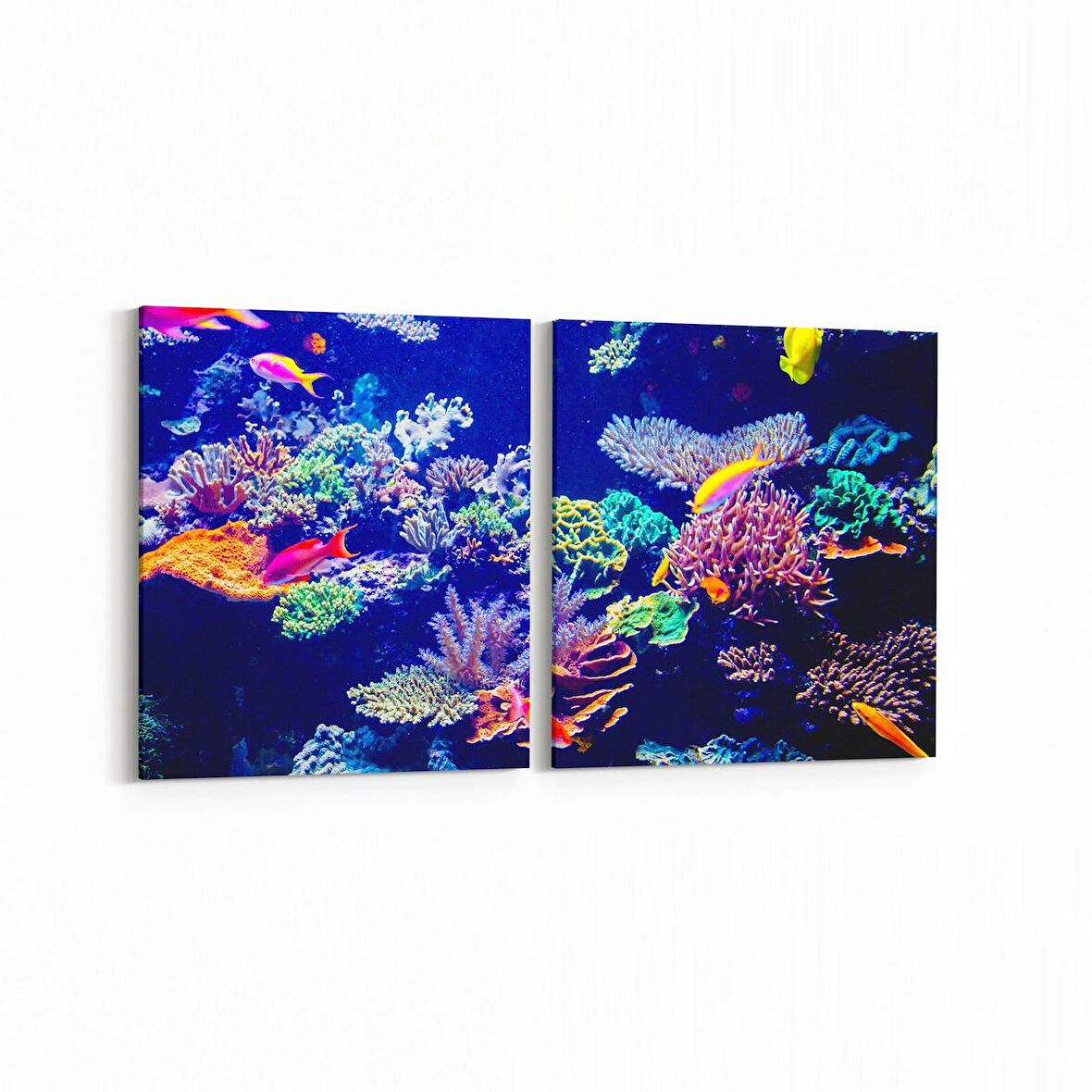 Olla 12119K2Y Akvaryum / Balık Görseli Kare 2'li Yatay Kanvas Tablo (Ölçü: 125X60)
