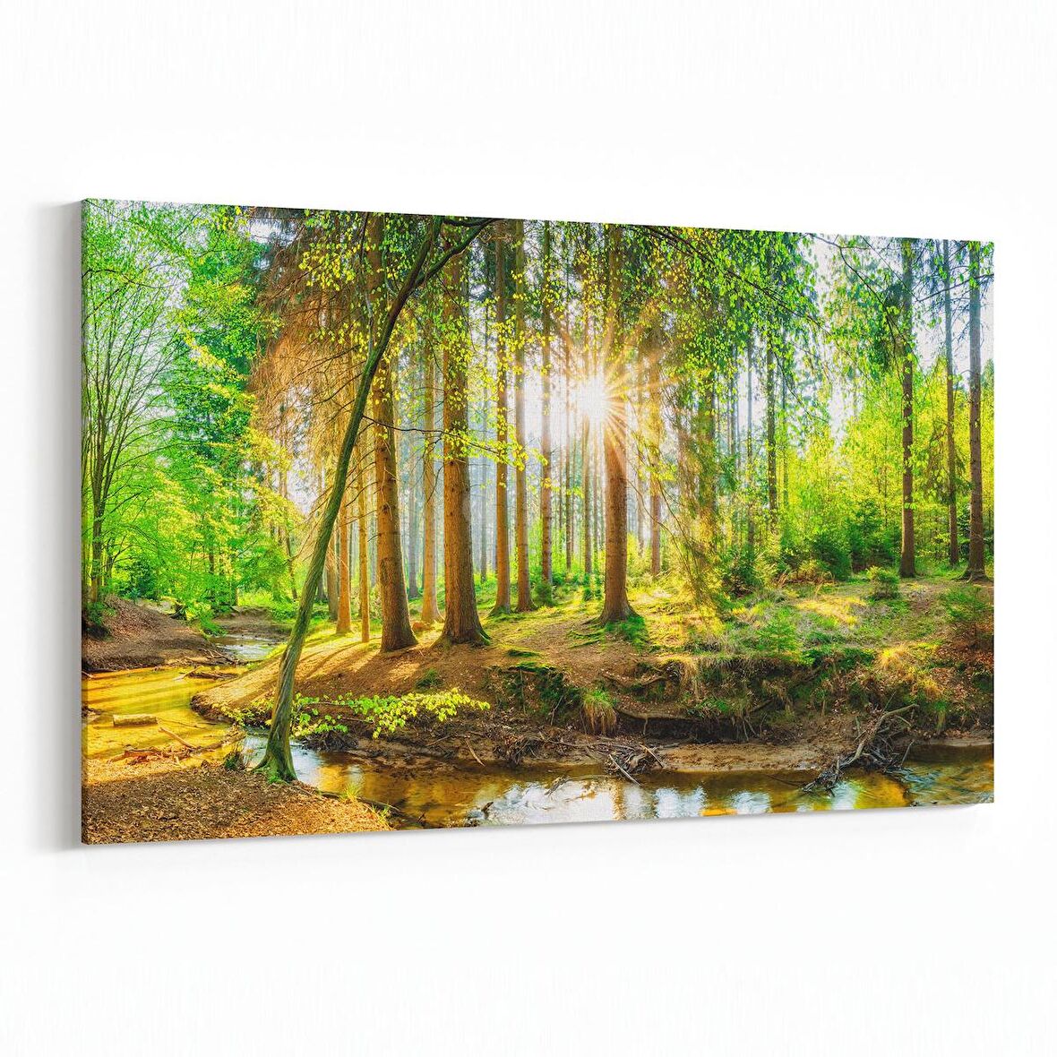 Olla 14301Y Doğa / Manzara Görseli Yatay Kanvas Tablo (Ölçü: 150X100)