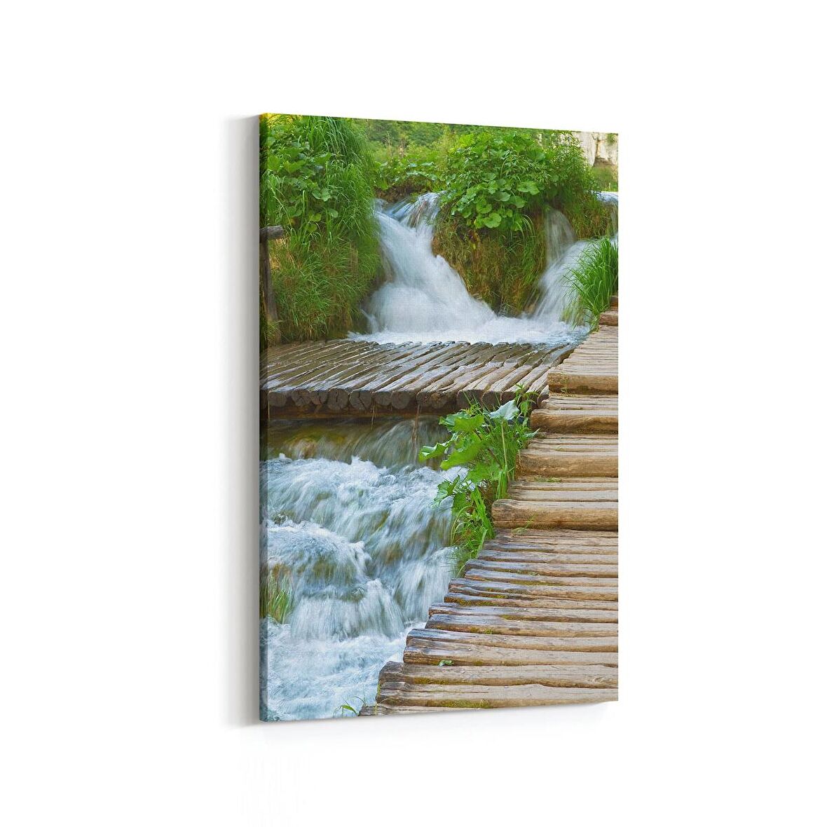 Olla 14543D Doğa / Manzara Görseli Dikey Kanvas Tablo (Ölçü: 20X30)