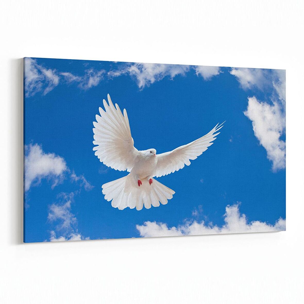 Olla 15884Y Gökyüzü Kuşlar Görseli Yatay Kanvas Tablo (Ölçü: 70X50)