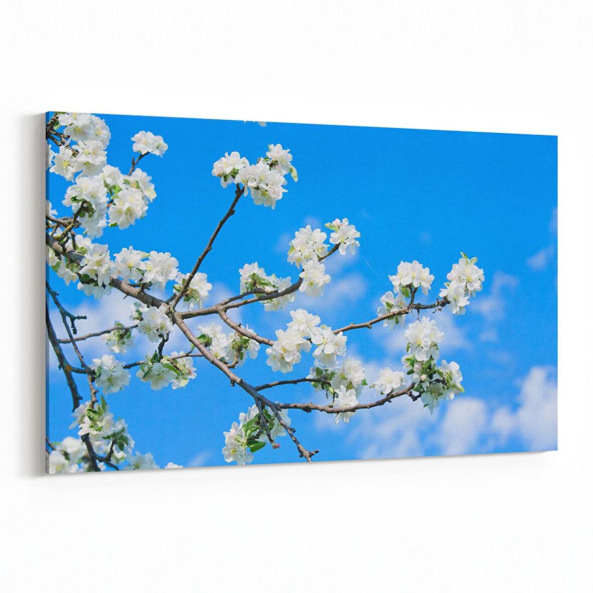 Olla 10866Y Ağaç Görseli Yatay Kanvas Tablo (Ölçü: 30X20)