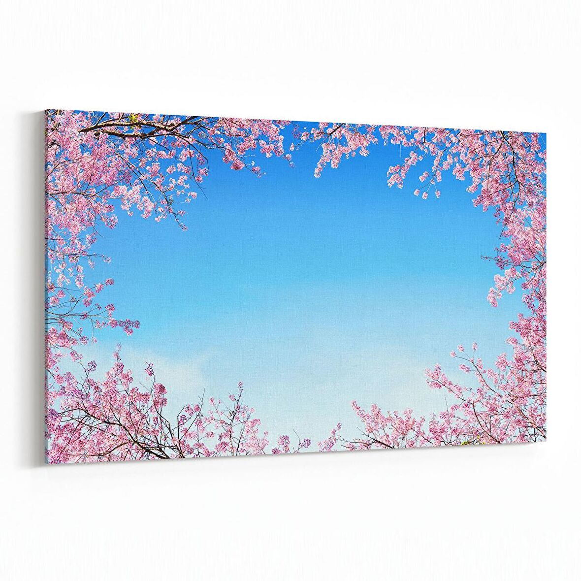 Olla 10880Y Ağaç Görseli Yatay Kanvas Tablo (Ölçü: 120X80)