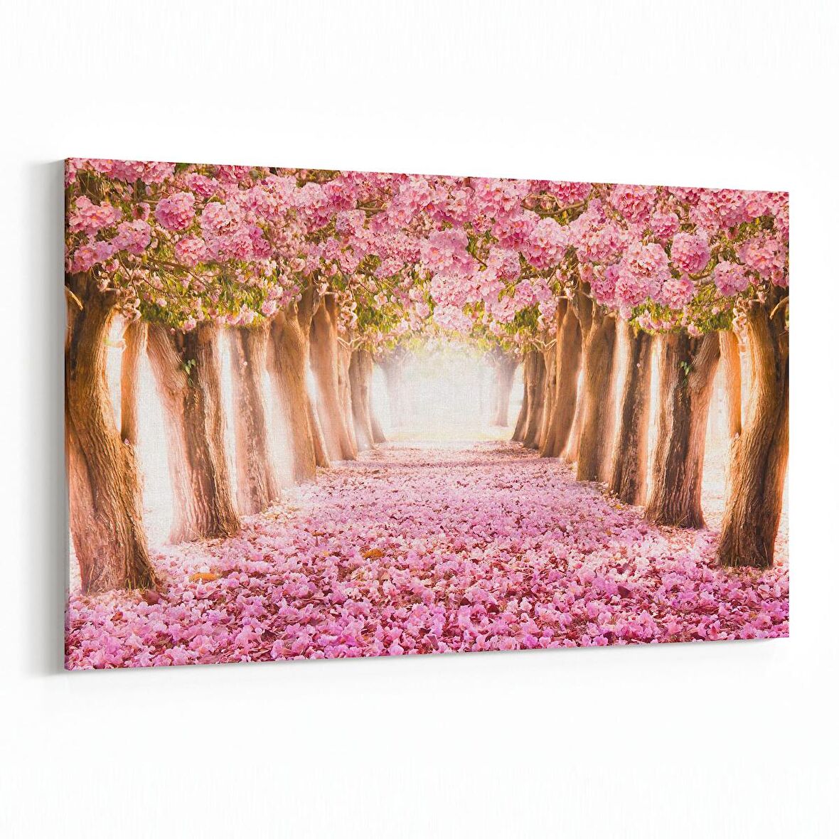 Olla 13515Y Doğa / Manzara Görseli Yatay Kanvas Tablo (Ölçü: 30X20)