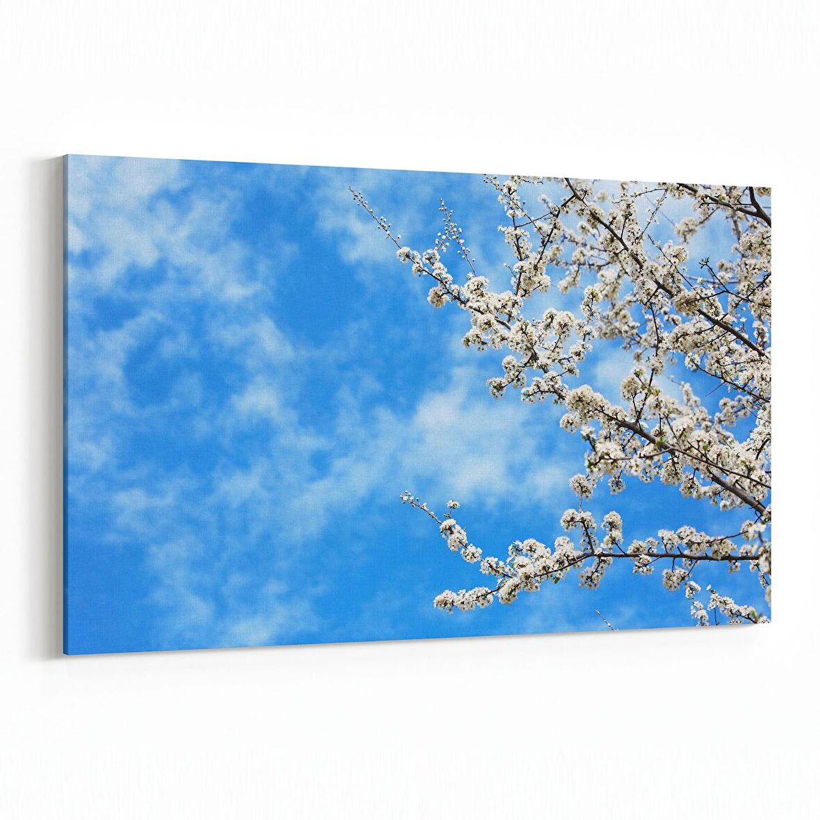 Olla 10472Y Ağaç Görseli Yatay Kanvas Tablo (Ölçü: 30X20)