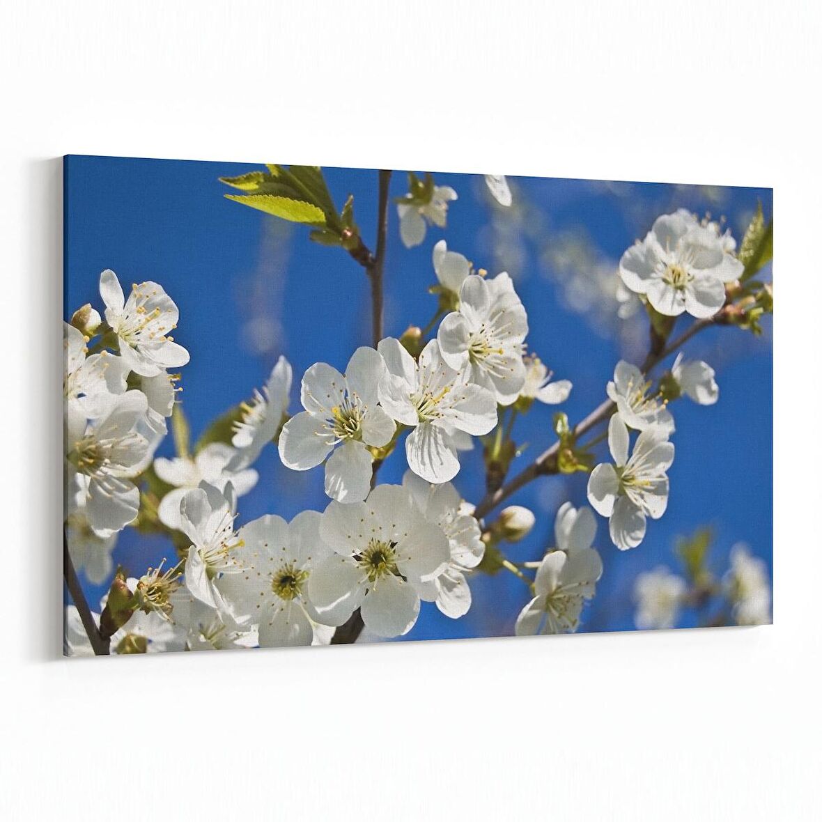 Olla 10477Y Ağaç Görseli Yatay Kanvas Tablo (Ölçü: 45X30)