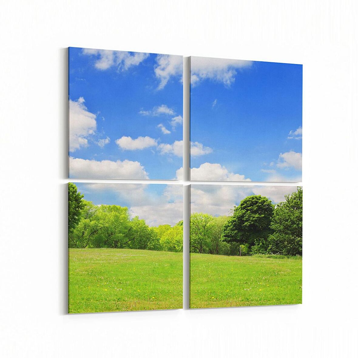 Olla 14590K4 Doğa / Manzara Görseli Kare 4'lü Kanvas Tablo (Ölçü: 145X145)