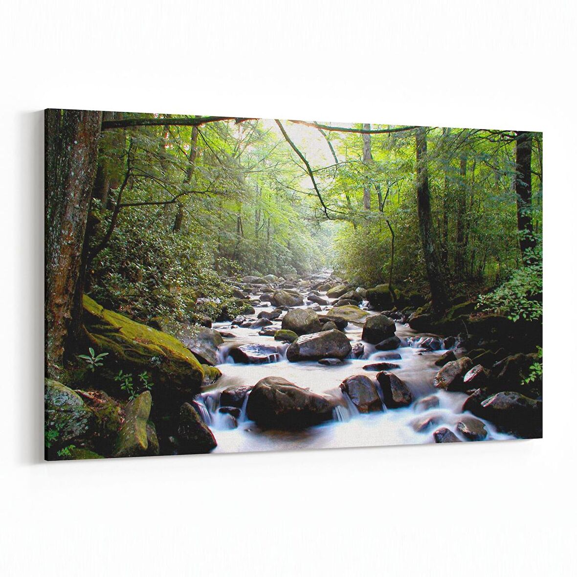 Olla 14033Y Doğa / Manzara Görseli Yatay Kanvas Tablo (Ölçü: 90X60)